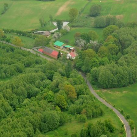 Wyświetl org. rozmiar 