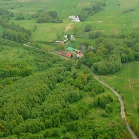 Wyświetl org. rozmiar 