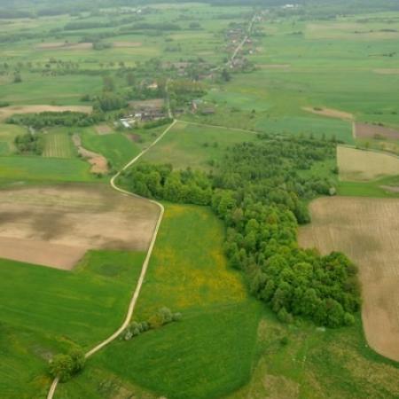 Wyświetl org. rozmiar 