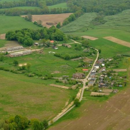 Wyświetl org. rozmiar 