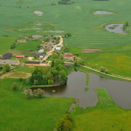 Wyświetl org. rozmiar 