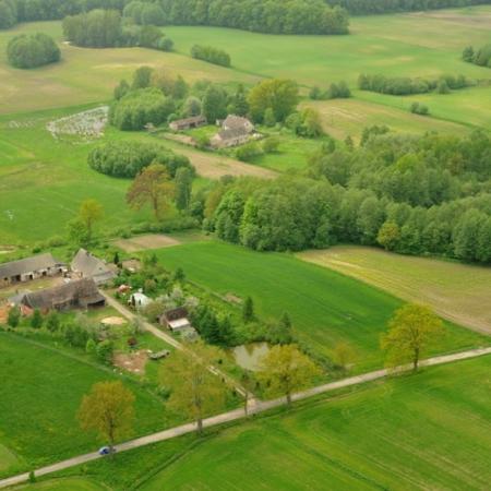 Wyświetl org. rozmiar 