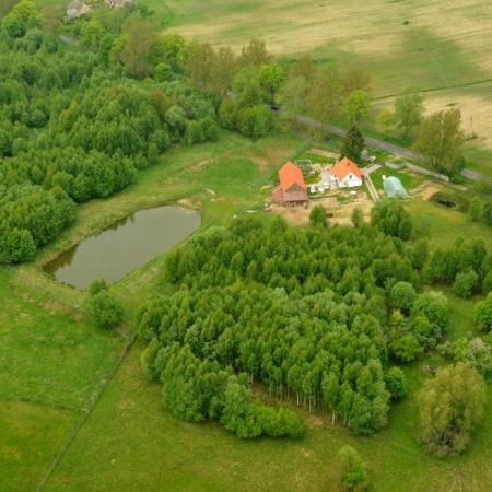 Wyświetl org. rozmiar 