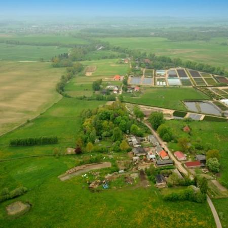 Wyświetl org. rozmiar 